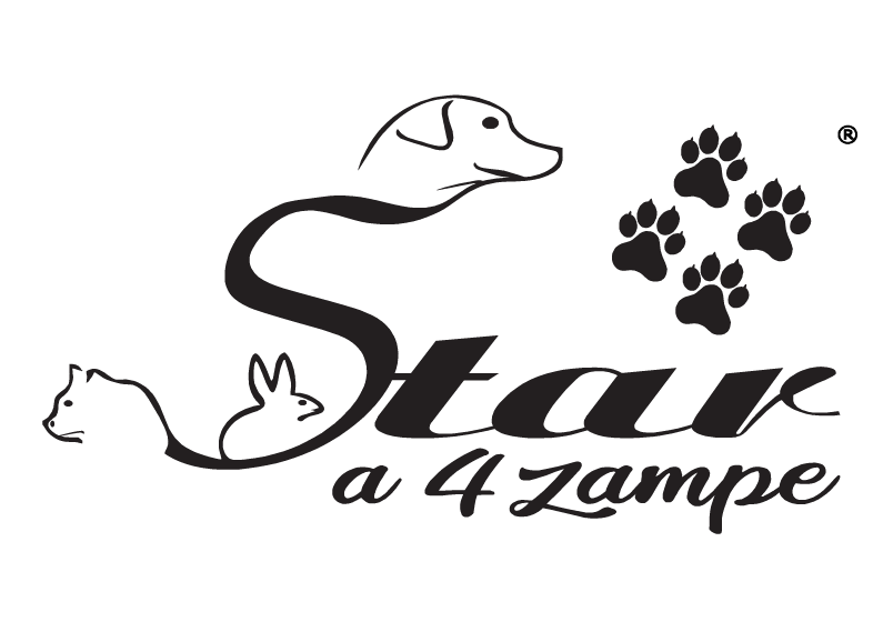 Star a 4 zampe
